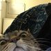 Shawn Nester - Facebook