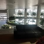 Shawn Nester - @royalnestny - Instagram