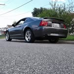 Shawn Newlin - @newlinshawn - Instagram