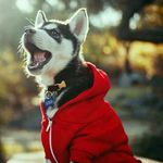Shawn Norman - @tinozmpaxie - Instagram