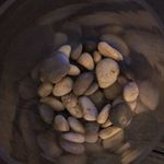 Shawnda Nowakowski - @nowakowskishawnda - Instagram