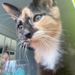 Shawn Null - @sln0608 - Instagram