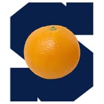 shawneeorangeeaters - @shawneeorangeeaters - Instagram