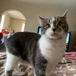 Shawn Otto - @spudsmom68 - Instagram