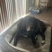 Shawn Ousley - Facebook