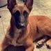 Sean Bekaert - Facebook