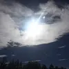 shawn_paddock - @shawn_paddock - TikTok