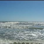Shawn Parson - @parsonshawn - Instagram