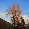 shawnpeckham2 - @shawnpeckham2 - TikTok