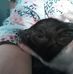 Shawn Penwell - Facebook