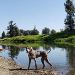 Shawn Perryman - @shawn_perryman - Instagram