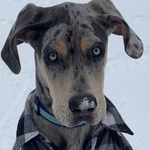 SHAWN PERRYMAN - @shawnpman - Instagram
