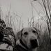 Shawn Persinger - Facebook