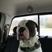 Shawn Pratt - Facebook
