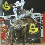Shawn Proctor - @spbulls - Instagram