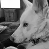 Shawn Proctor - @shawn.proctor - TikTok