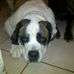 Shawn Ramsay - Facebook
