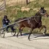 shawnrenner145 - @shawnrenner145 - TikTok