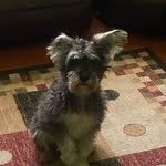 Shawn Rich - @brooklynchild23 - Instagram