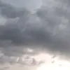 Shawn rich - @shawn.rich86 - TikTok