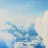 shawnrich762 - @shawnrich762 - TikTok