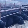 shawnricks758 - @shawnricks758 - TikTok