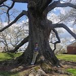 Shawn Roark - @shawnroark1000 - Instagram