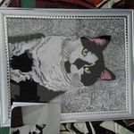 RPS - @shawnrockey - Instagram
