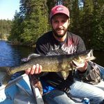 Shawn Ruest - @shawnruest - Instagram