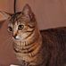 Shawn Sather - Facebook
