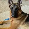 shawnschillinger007 - @shawnschillinger007 - TikTok