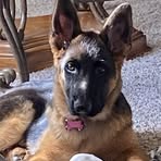 Shawn Schillinger - Facebook