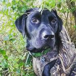 Shawn Schmidt - @wisco_shutterbug - Instagram