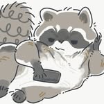Shawn Schmidt - @trash_panda469 - Instagram