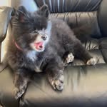 Shawn Schofield - @shawn.schofield.5 - Instagram