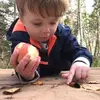 shawnschofield36 - @shawnschofield36 - TikTok