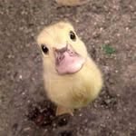 Shane Schoonmaker - @schoon3303 - Instagram