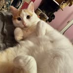 Jack Schuessler - Facebook