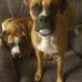 Shawn Schweitzer - Facebook
