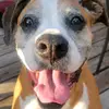Shawn Schweitzer - @shawn.schweitzer - TikTok