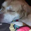 shawnscudder775 - @shawnscudder775 - TikTok