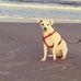 Shawn Seay - Facebook