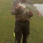 Shawn Seay - @seay.shawn - Instagram