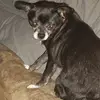Shawn Seckman - @shawn.seckman - TikTok