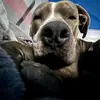 Shawnasee - @shawnasee.999 - TikTok