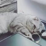 @shawnseeeeeee - Instagram