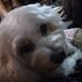 Shawn Seidel - Facebook