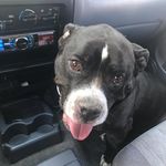 Shawn Seidelman - @shawnseidelman - Instagram