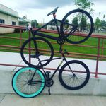 shawn_sellers - @shawn_sellers__ - Instagram