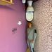 Shawn Seng Jr - Facebook